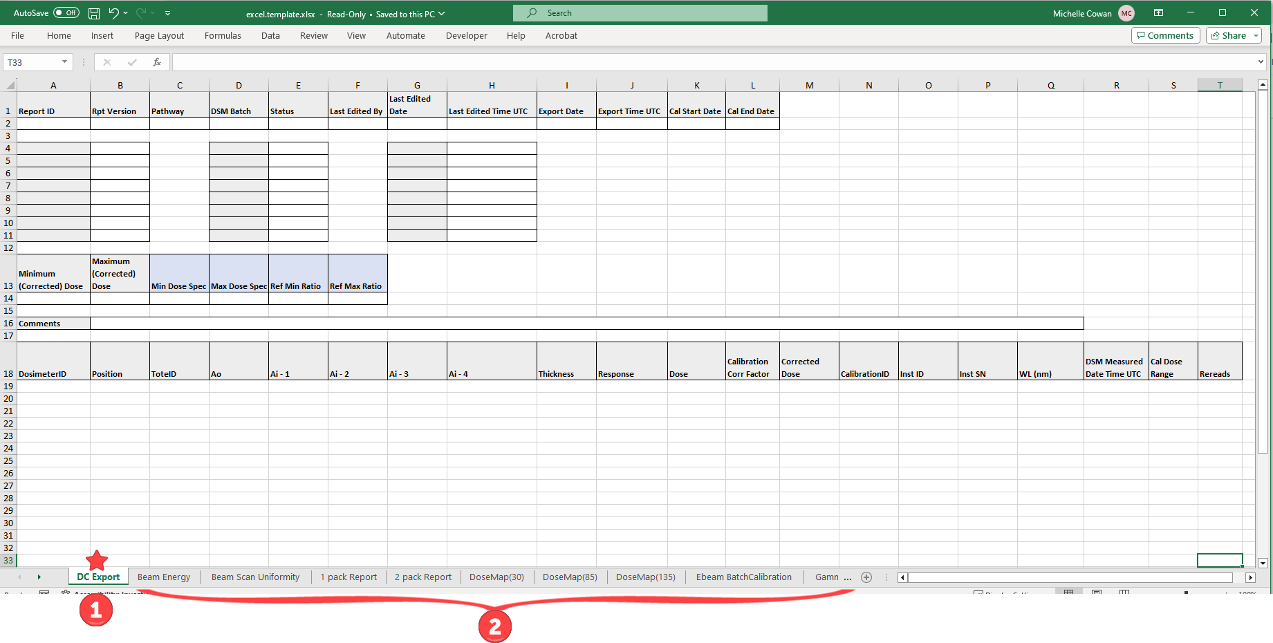 excel template.png